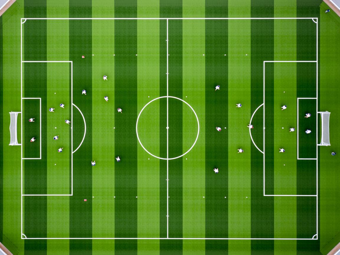 开云ky官网-出发弹跳力提升，迅速抢占先机，弹跳力爆发力  第3张